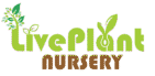 Live Plant Nursery