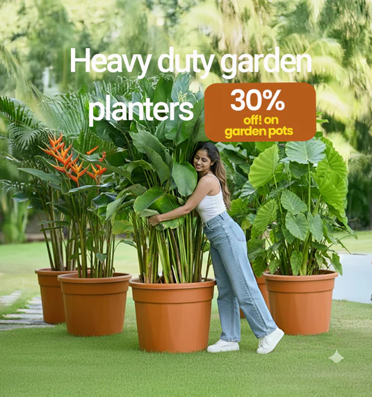 planter-big-sale-banner-mobile