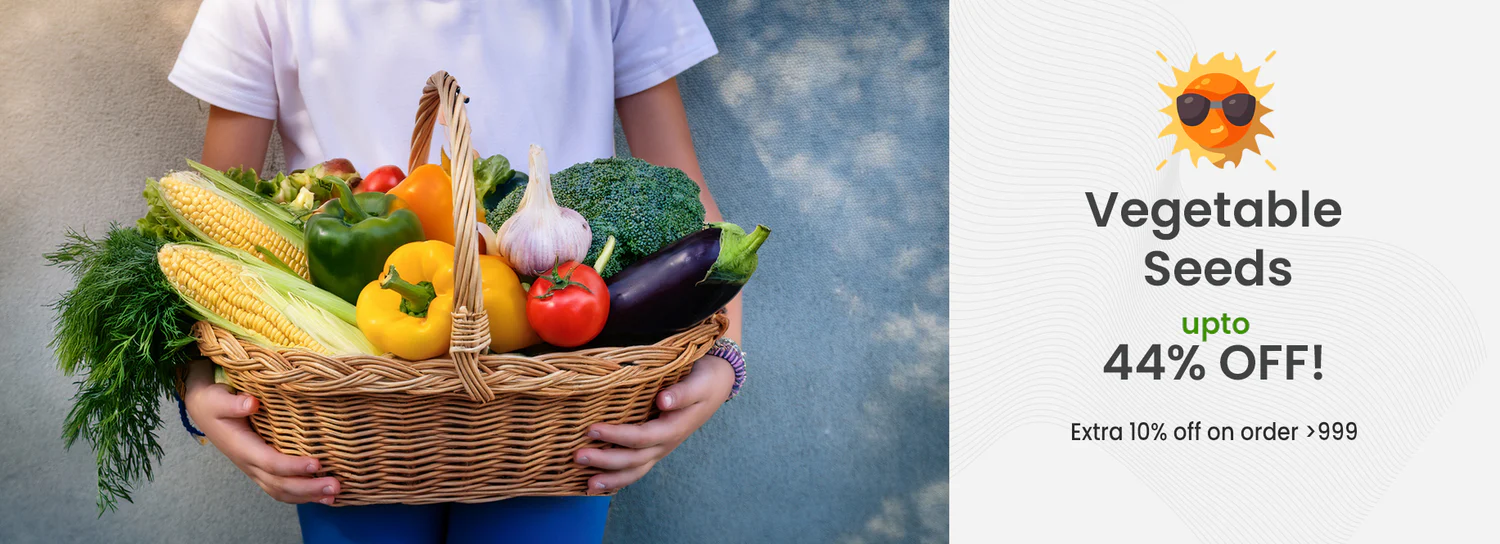 planter-sale-banner-desk1