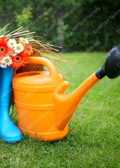 gardener gardening tools