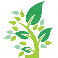 Live Plant Nursery - Favicon