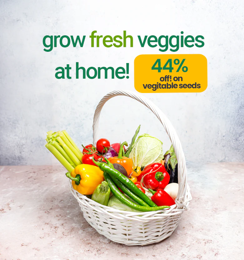 mobile-banner-sale-veg-seeds